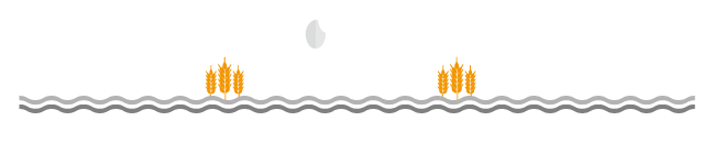 今井ライスファーム | 長野県茅野市 | お米販売